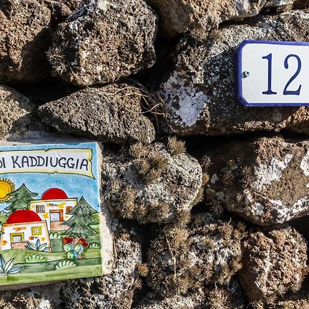 Willa Dammuso I Pini Di Kaddiuggia Campobello Zewnętrze zdjęcie